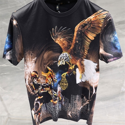 市场上装-T恤-欧货T恤【实拍】