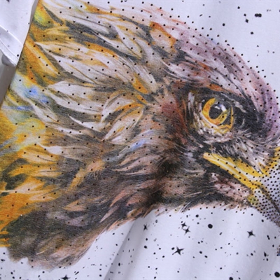 市场上装-T恤-欧货T恤【实拍】