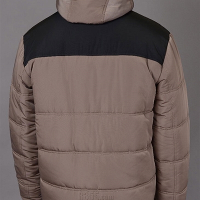 市场上装-棉衣/羽绒服-商务棉服