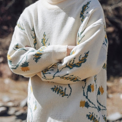 市场上装-毛衫-休闲毛衫