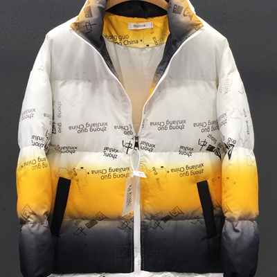 市场上装-棉衣/羽绒服-微潮棉服