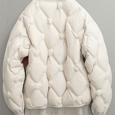 市场上装-棉衣/羽绒服-微潮棉服