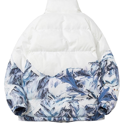 市场上装-棉衣/羽绒服-微潮棉服