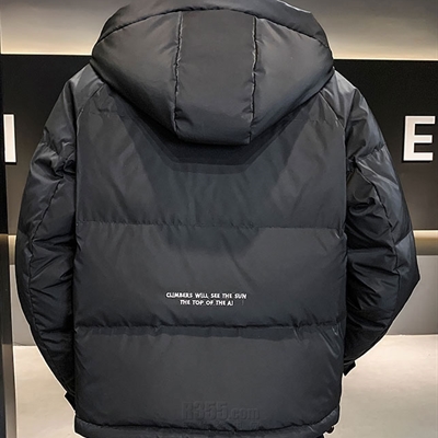 市场上装-棉衣/羽绒服-休闲棉服