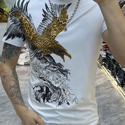 市场上装-T恤-欧货T恤