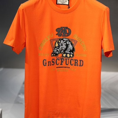 市场上装-T恤-欧货T恤【实拍】