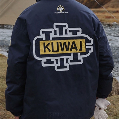 市场上装-棉衣/羽绒服-休闲棉服