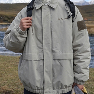 市场上装-棉衣/羽绒服-休闲棉服