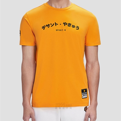 户外品牌-T恤-男户外T恤