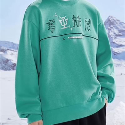 运动品牌-卫衣-男运动卫衣