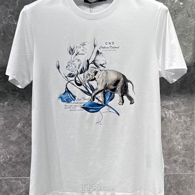 市场上装-T恤-欧货T恤【实拍】