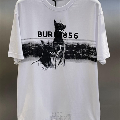 市场上装-T恤-欧货T恤【实拍】