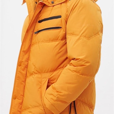 市场上装-棉衣/羽绒服-商务棉服