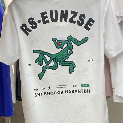 市场上装-T恤-休闲T恤【实拍】