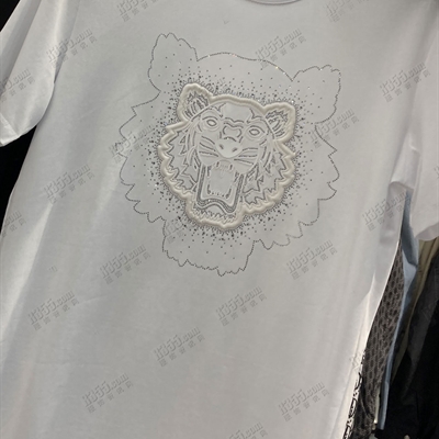 市场上装-T恤-欧货T恤【实拍】