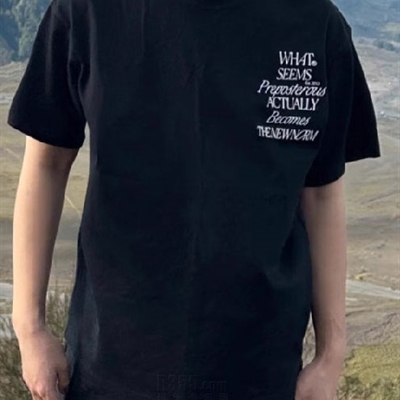 市场上装-T恤-休闲T恤