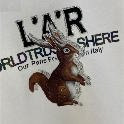 市场上装-卫衣-欧货卫衣