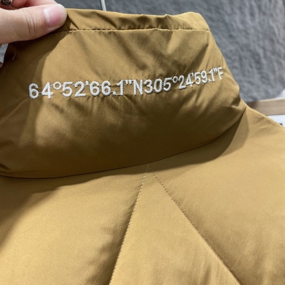 市场上装-棉衣/羽绒服-休闲棉服