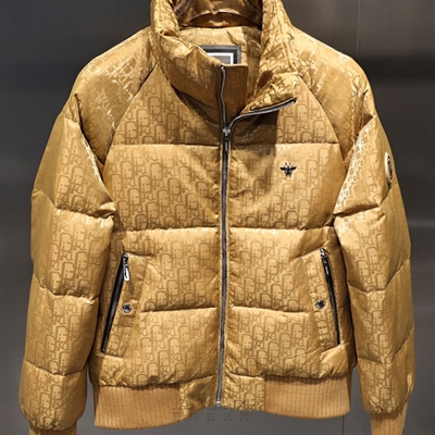 市场上装-棉衣/羽绒服-欧货棉服