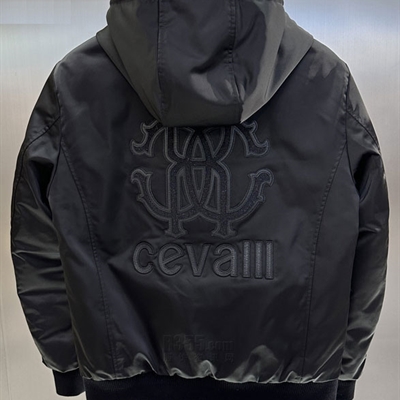 市场上装-棉衣/羽绒服-欧货棉服