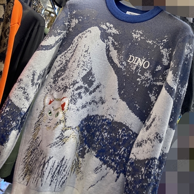 市场上装-毛衫-休闲毛衫【实拍】