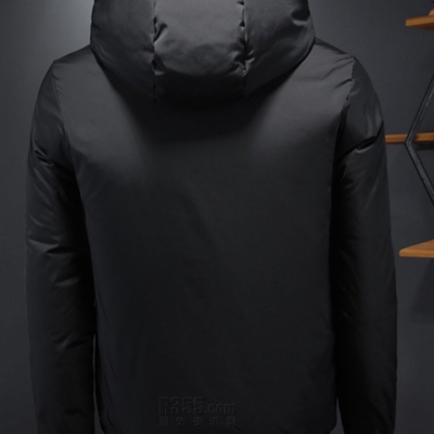 市场上装-棉衣/羽绒服-欧货棉服