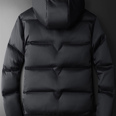 市场上装-棉衣/羽绒服-欧货棉服