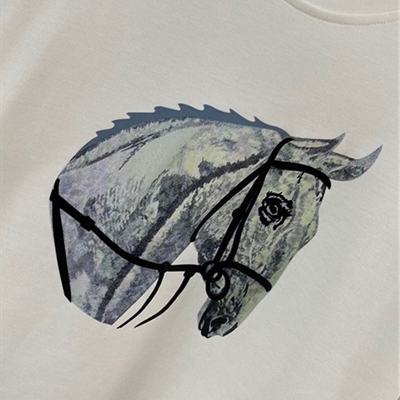 市场上装-卫衣-欧货卫衣