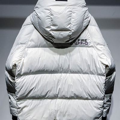 市场上装-棉衣/羽绒服-休闲棉服