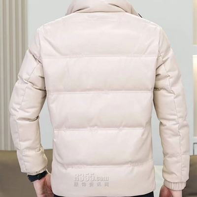 市场上装-棉衣/羽绒服-欧货棉服