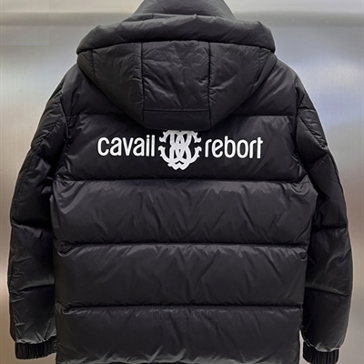 市场上装-棉衣/羽绒服-欧货棉服