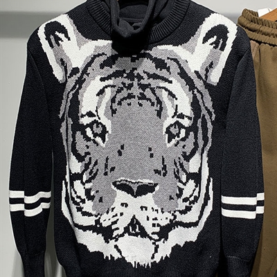 市场上装-毛衫-休闲毛衫