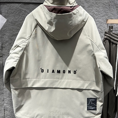 市场上装-棉衣/羽绒服-休闲棉服