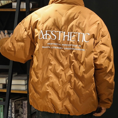 市场上装-棉衣/羽绒服-休闲棉服