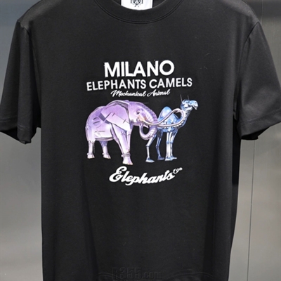 市场上装-T恤-欧货T恤