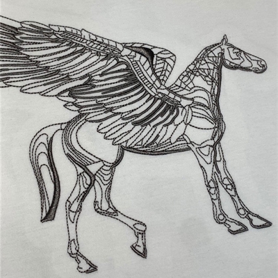 市场上装-T恤-欧货T恤