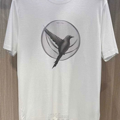 市场上装-T恤-欧货T恤