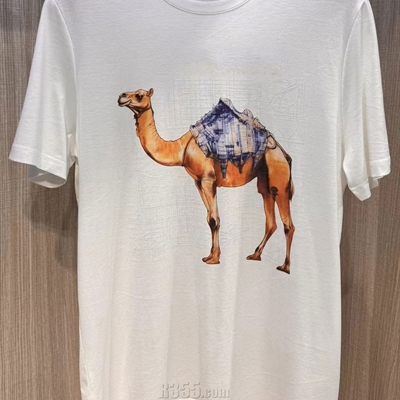 市场上装-T恤-欧货T恤