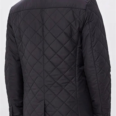 市场上装-棉衣/羽绒服-商务棉服