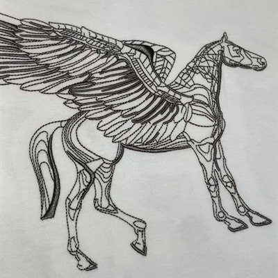 市场上装-T恤-欧货T恤