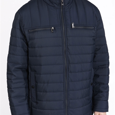 市场上装-棉衣/羽绒服-商务棉服