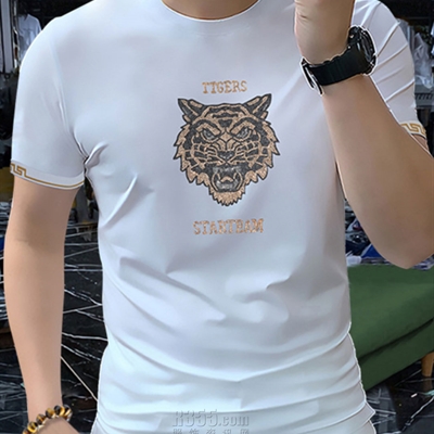 市场上装-T恤-欧货T恤