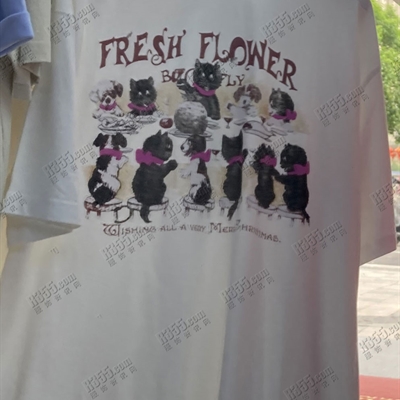 市场上装-T恤-电商T恤【实拍】