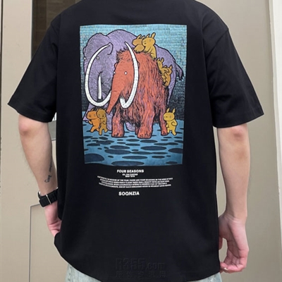 市场上装-T恤-休闲T恤