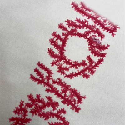 市场上装-T恤-欧货T恤