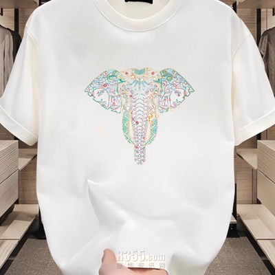 市场上装-T恤-欧货T恤