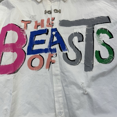 市场上装-衬衫-电商衬衫