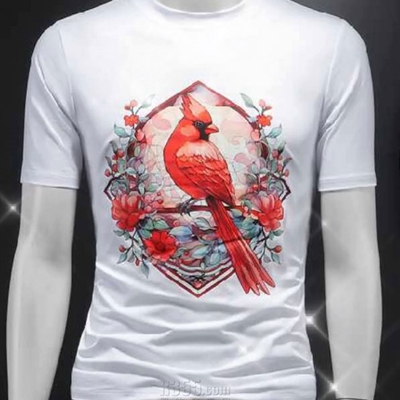 市场上装-T恤-欧货T恤