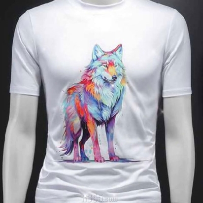 市场上装-T恤-欧货T恤