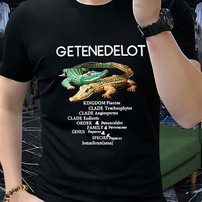 市场上装-T恤-欧货T恤